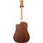 Taylor 210ce Dreadnought (Ex-Demo) #2207172062 Back View
