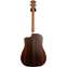 Taylor 210ce Dreadnought (Ex-Demo) #2206222015 Back View