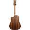 Taylor 210ce Dreadnought (Ex-Demo) #2206242050 Back View