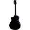 Taylor 214ce Deluxe Grand Auditorium Black Back View
