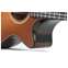 Taylor Builder's Edition 652ce Wild Honey Burst (Nearly New) #1211013093 Front View