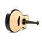 Taylor Builder's Edition 912ce Grand Concert #1203054002 Front View