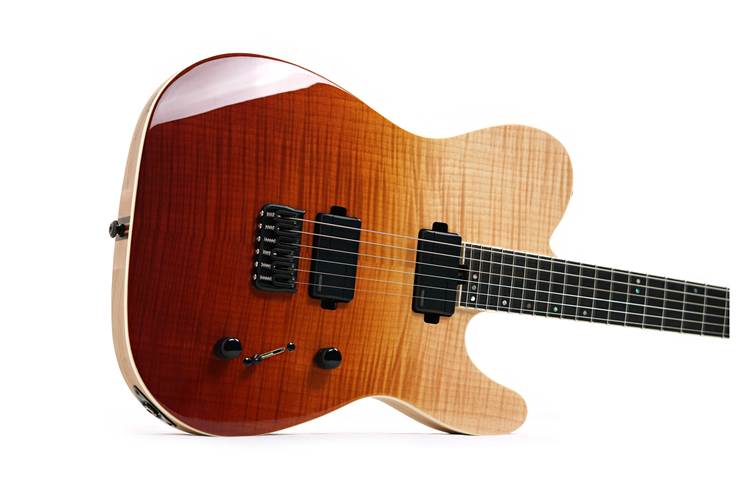 Schecter PT SLS Elite Antique Fade Burst Schecter PT SLS Elite Antique Fade Burst