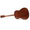Taylor Grand Pacific Walnut Limited Front View