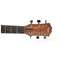Taylor Grand Pacific Walnut Limited Front View