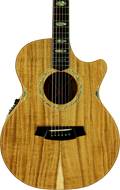 Cole Clark AN 3 EC Blackwood/Blackwood