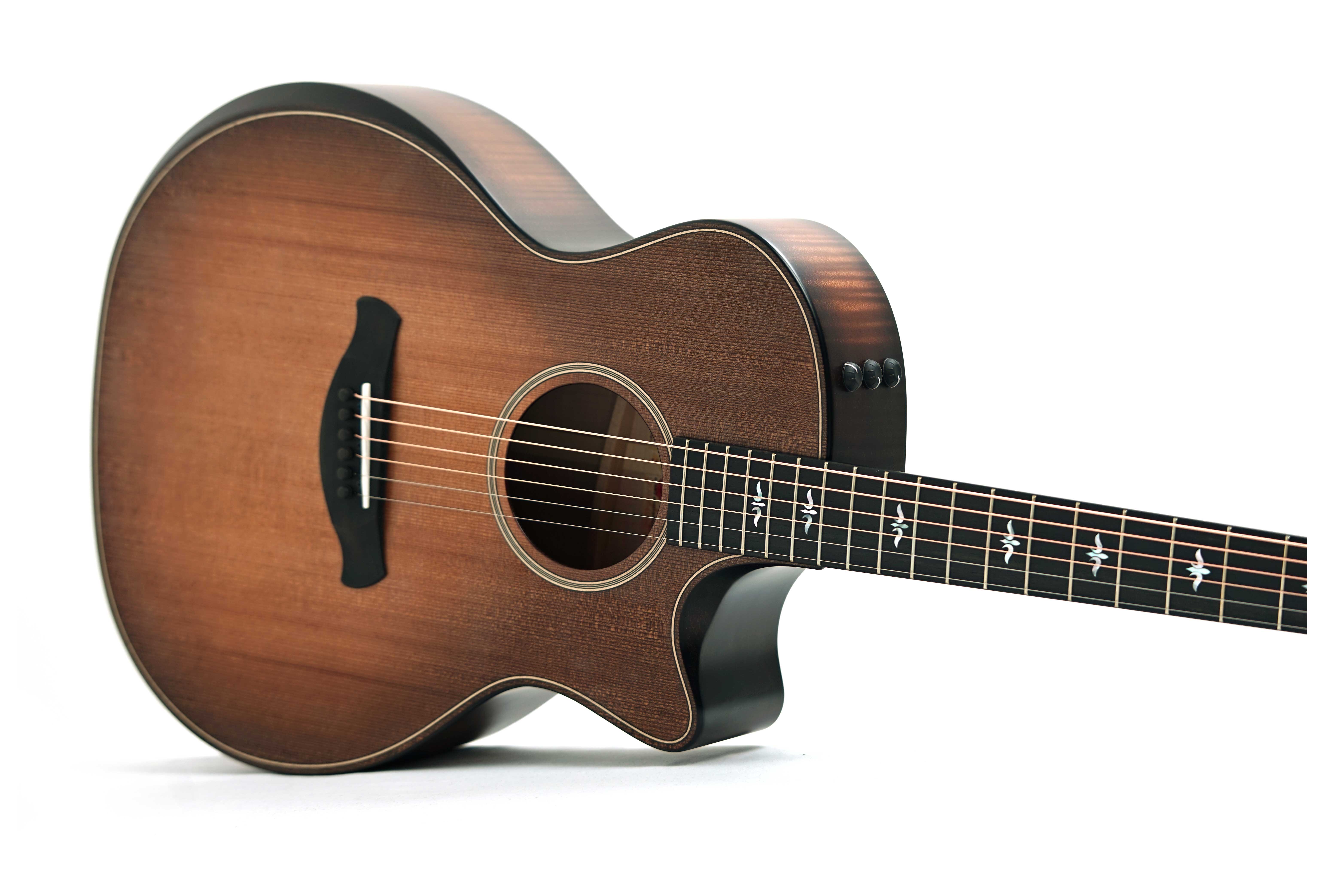 Taylor Builder's Edition 614ce Grand Auditorium Wild Honey Burst #1209164069