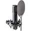 SE Electronics sE2200 Condenser Microphone Front View
