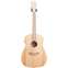 Cole Clark 12 String Fat Lady 2 E Bunya/Blackwood #201237258 Front View
