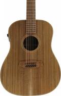 Cole Clark FL 2 E 12 String Blackwood/Blackwood 12 String