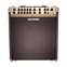 Fishman Loudbox Performer with Bluetooth Combo Acoustic Amp Front View