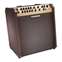 Fishman Loudbox Performer with Bluetooth Combo Acoustic Amp Front View