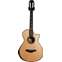 Taylor 912ce 12 Fret Grand Concert V Class Bracing (Ex-Demo) #1110289074 Front View
