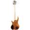 Dingwall NG3 5 String Matte Gold Metallic #18320 Back View