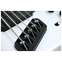 Dingwall NG3 5 String Ducati Matte White Maple Fingerboard #16082 Front View