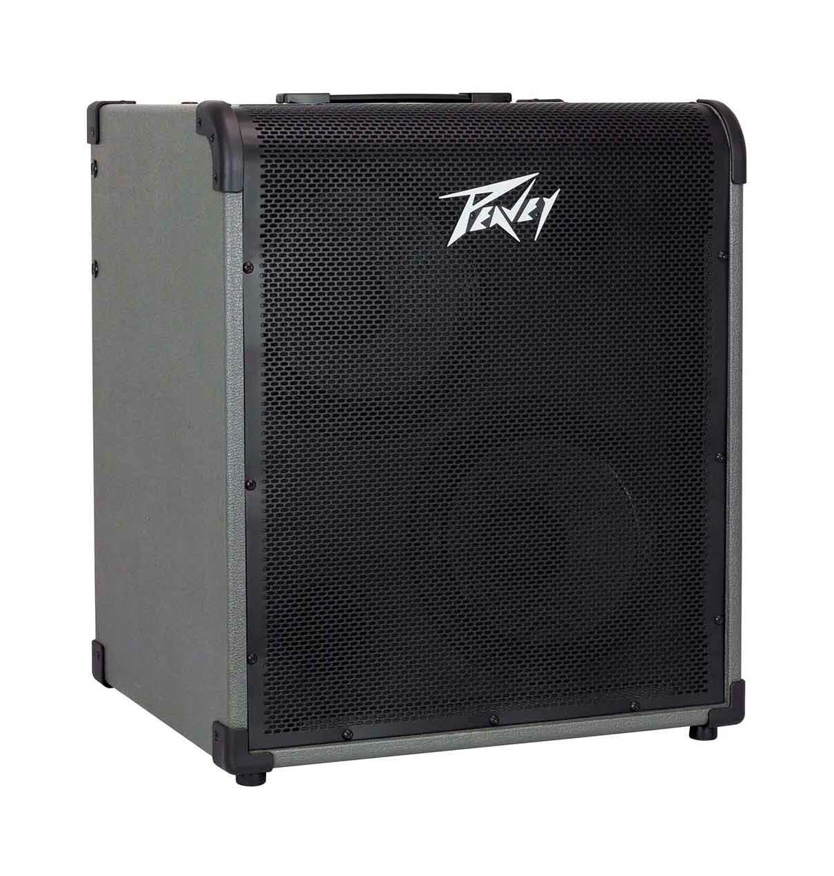 Peavey MAX 300 Bass Combo Solid State Amp