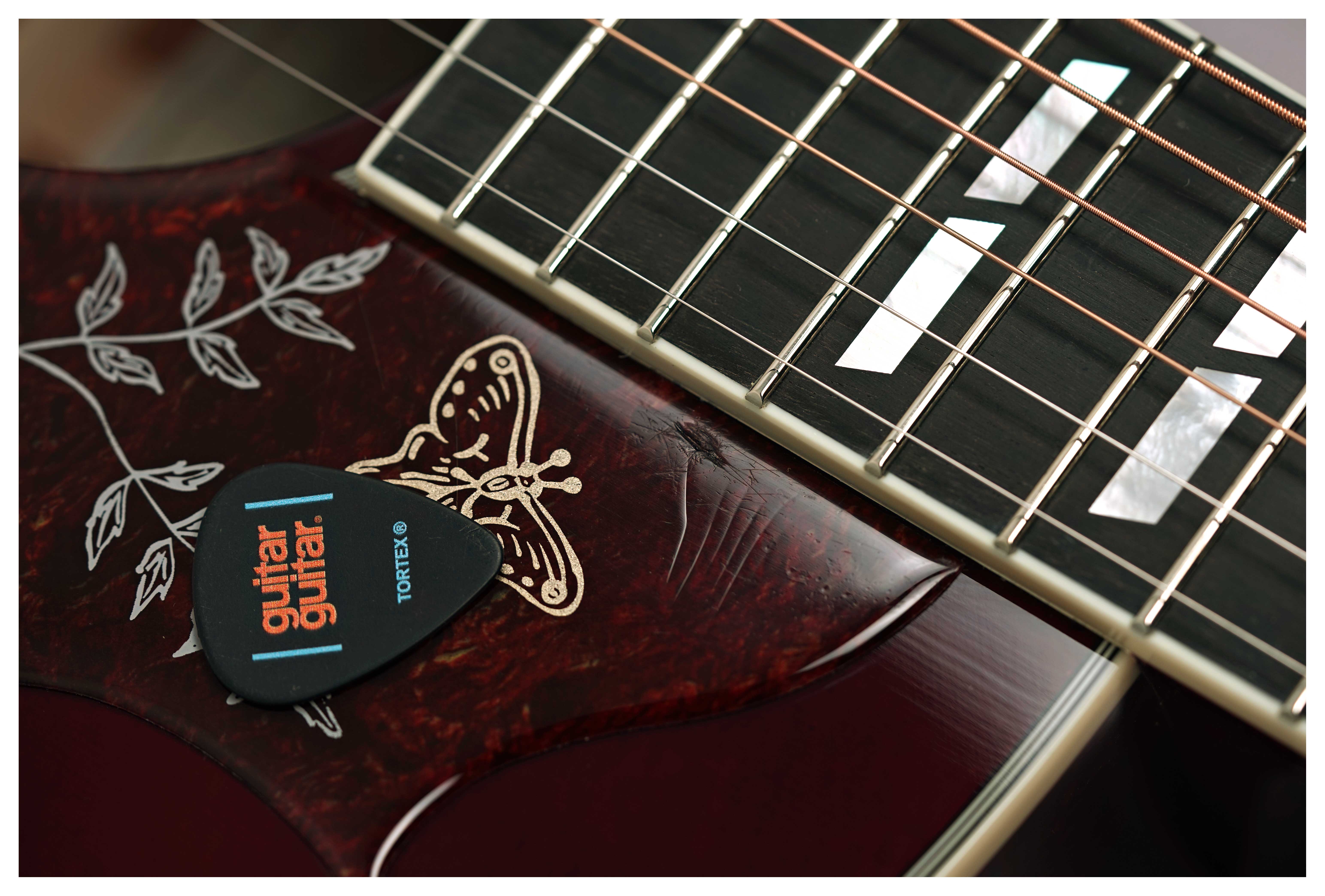 Sigma SDM-SG5 (Ex-Demo) #250205252