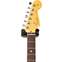 Fender American Professional II Stratocaster Roasted Pine Rosewood Fingerboard (Ex-Demo) #us210014750 