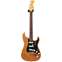 Fender American Professional II Stratocaster Roasted Pine Rosewood Fingerboard (Ex-Demo) #us210014750 Front View