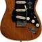 Fender American Professional II Stratocaster Roasted Pine Rosewood Fingerboard (Ex-Demo) #US20081360 