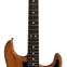 Fender American Professional II Stratocaster Roasted Pine Rosewood Fingerboard (Ex-Demo) #US20081360 