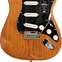 Fender American Professional II Stratocaster Roasted Pine Rosewood Fingerboard (Ex-Demo) #US210003146 