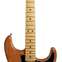 Fender American Professional II Strat Roasted Pine Maple Fingerboard (Ex-Demo) #US20089856 