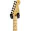 Fender American Professional II Strat Roasted Pine Maple Fingerboard (Ex-Demo) #US20089856 