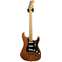 Fender American Professional II Strat Roasted Pine Maple Fingerboard (Ex-Demo) #US20089856 Front View
