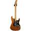 Fender American Professional II Stratocaster Roasted Pine Maple Fingerboard (Ex-Demo) #US21041209 Front View