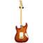 Fender American Professional II Stratocaster HSS Sienna Sunburst Maple Fingerboard (Ex-Demo) #US24048962 Back View