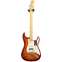 Fender American Professional II Stratocaster HSS Sienna Sunburst Maple Fingerboard (Ex-Demo) #US24048962 Front View
