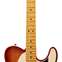 Fender American Professional II Telecaster Sienna Sunburst Maple Fingerboard (Ex-Demo) #US210007740 