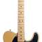 Fender American Professional II Tele Butterscotch Blonde Maple Fingerboard (Ex-Demo) #US20071134 
