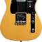 Fender American Professional II Telecaster Butterscotch Blonde Maple Fingerboard (Ex-Demo) #US20076003 