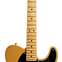 Fender American Professional II Tele Butterscotch Blonde Maple Fingerboard (Ex-Demo) #US20081650 