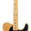 Fender American Professional II Telecaster Butterscotch Blonde Maple Fingerboard (Ex-Demo) #US210041088 