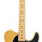 Fender American Professional II Telecaster Butterscotch Blonde Maple Fingerboard (Ex-Demo) #US210011827 