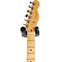 Fender American Professional II Telecaster Roasted Pine Maple Fingerboard (Ex-Demo) #US210106705 