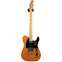 Fender American Professional II Telecaster Roasted Pine Maple Fingerboard (Ex-Demo) #US210106705 Front View