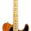 Fender American Professional II Telecaster Roasted Pine Maple Fingerboard (Ex-Demo) #US21032368 