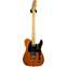 Fender American Professional II Telecaster Roasted Pine Maple Fingerboard (Ex-Demo) #US21032368 Front View