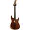 Fender Acoustasonic Stratocaster Exotic Cocobolo #US20423A Front View