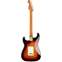 Fender Roasted Player Stratocaster 3 Tone Sunburst Roasted Maple Neck/Fingerboard with Custom Shop Pickups Back View