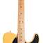 Fender Roasted Player Telecaster Butterscotch Blonde with Custom Shop Nocasters (Ex-Demo) #MX20119579 