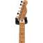 Fender Roasted Player Telecaster Butterscotch Blonde with Custom Shop Nocasters guitarguitar Exclusive (Ex-Demo) #MX21257491 