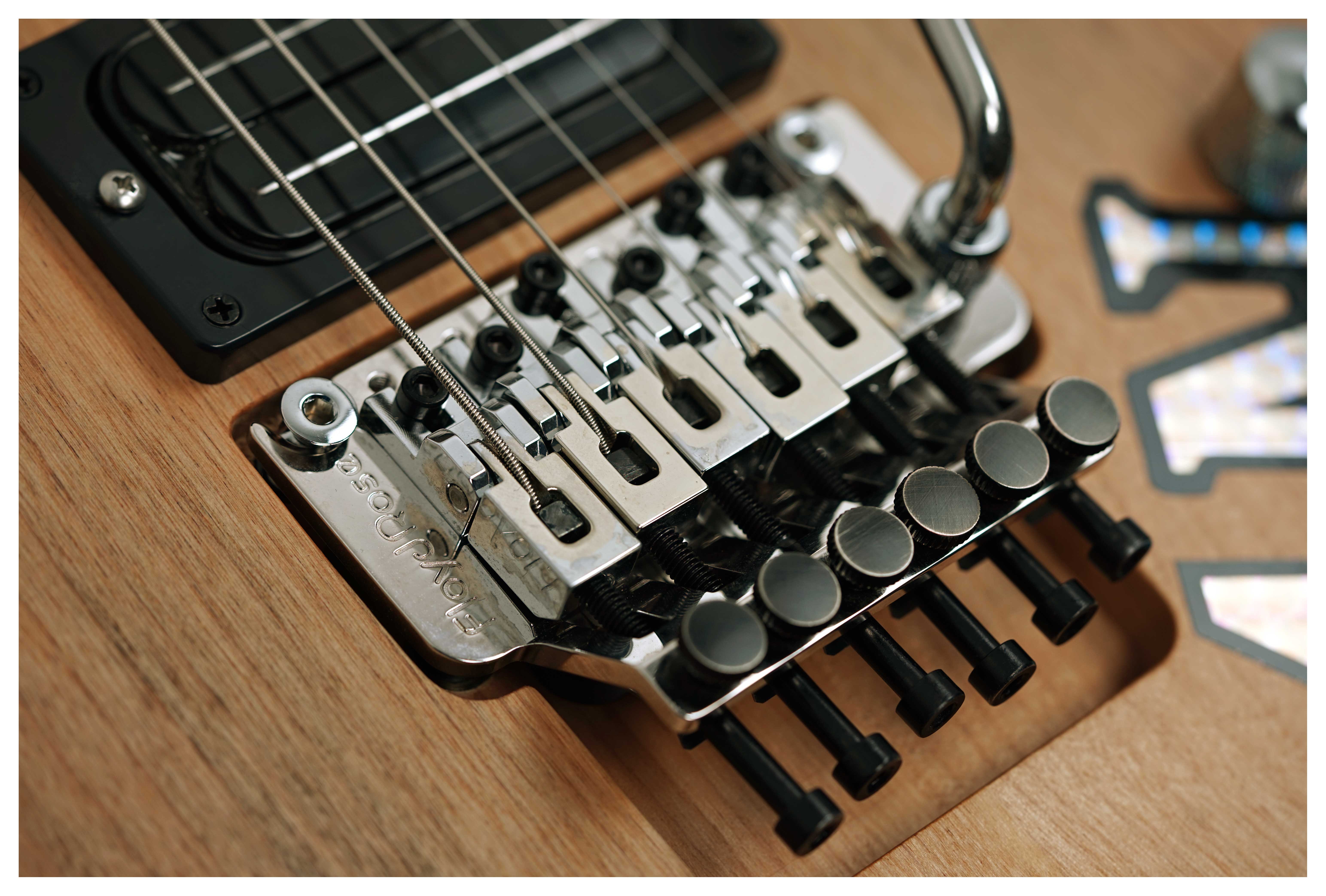 Washburn 4N Nuno Bettencourt Signature #2510003