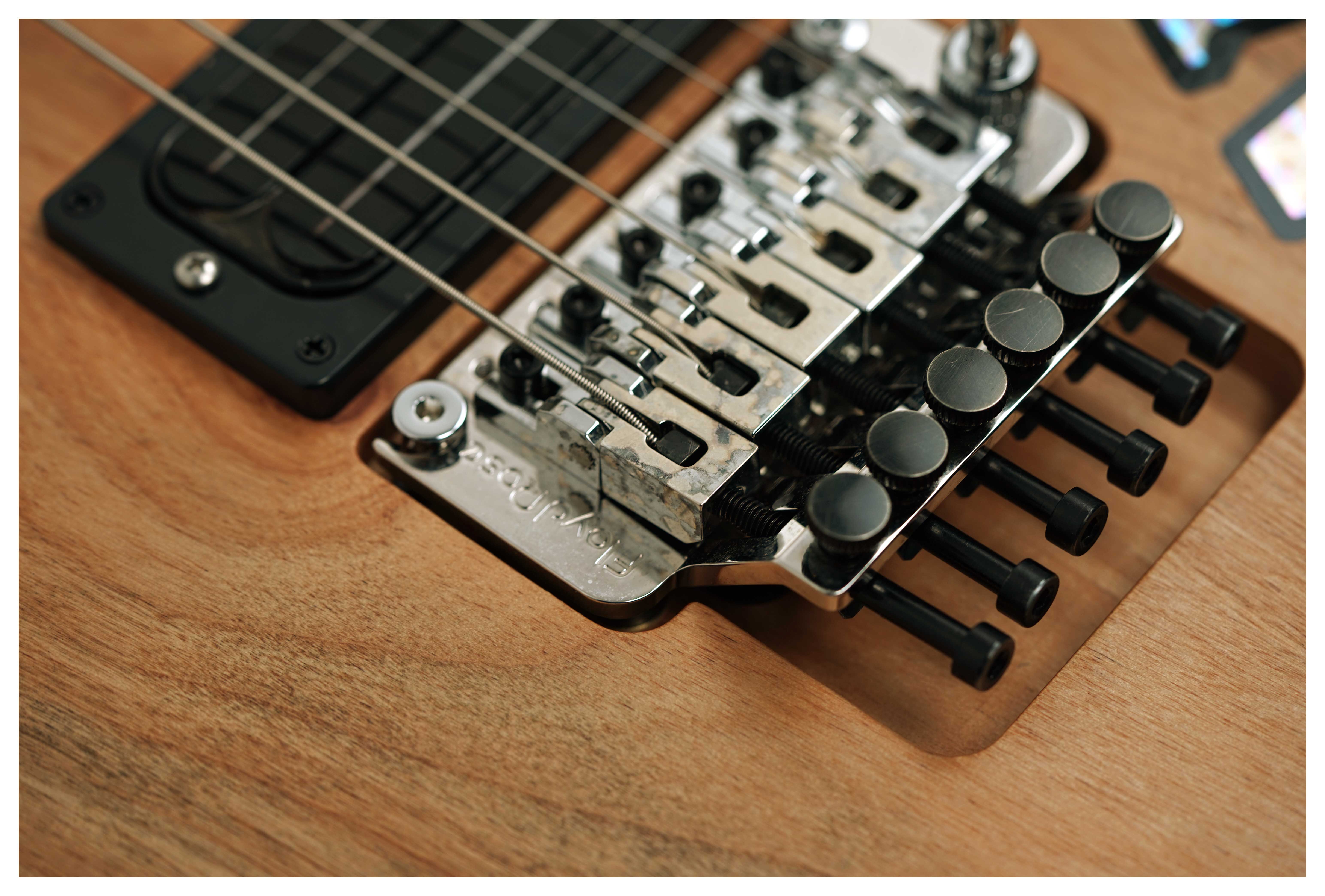 Washburn 4N Nuno Bettencourt Signature #2510006