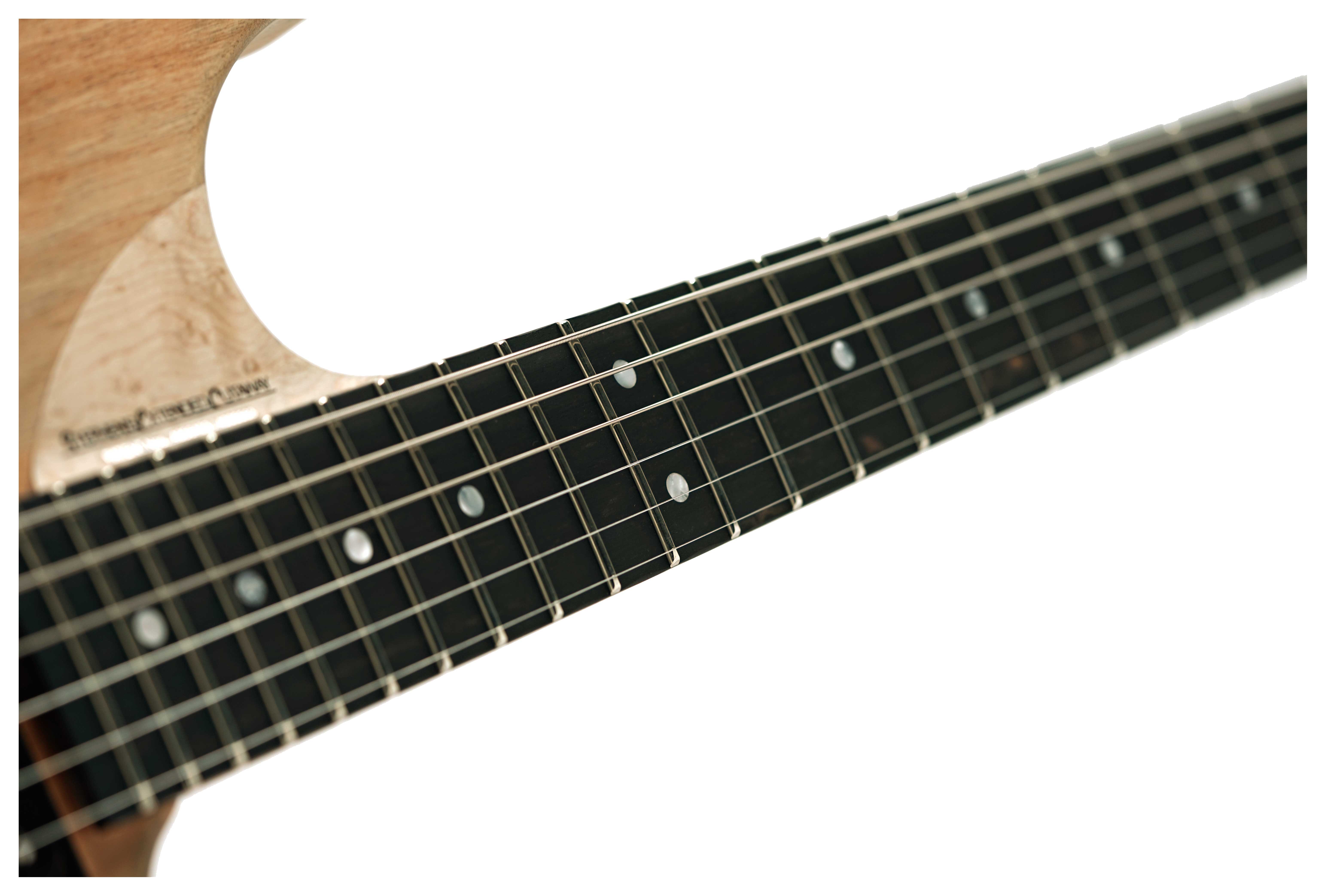 Washburn 4N Nuno Bettencourt Signature #2510006