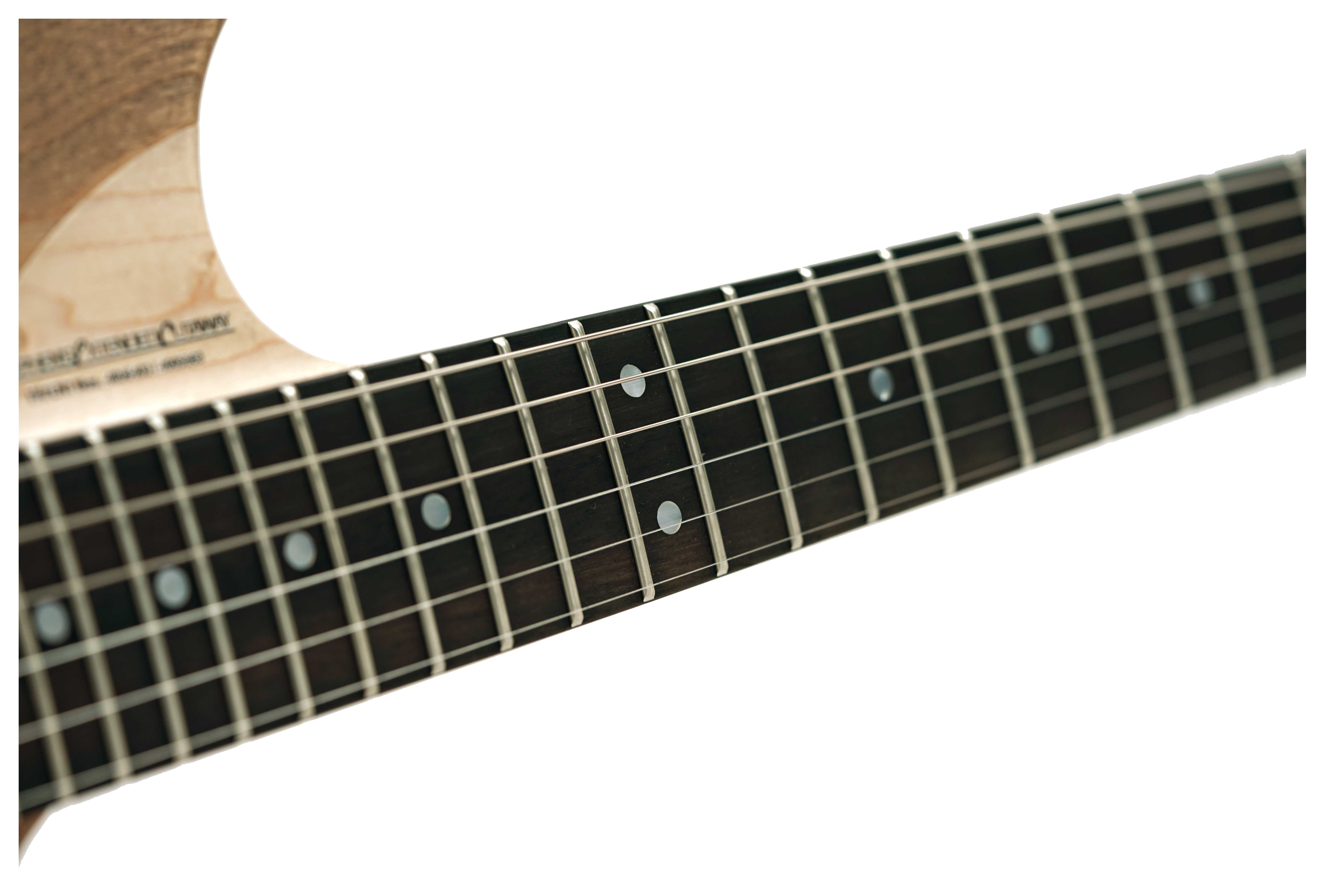 Washburn 4N Nuno Bettencourt Signature #2512531